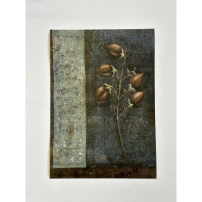 Kejsertr, A3, Ane Whlk