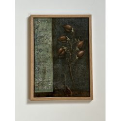 Kejsertr, A3, Ane Whlk