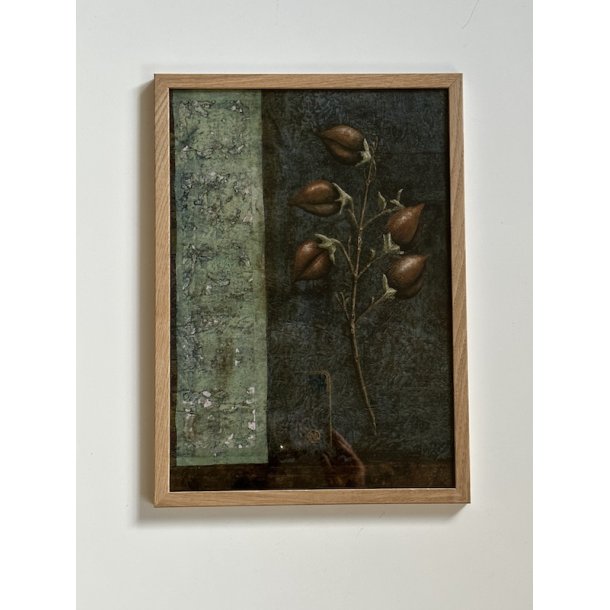 Kejsertr, A3, Ane Whlk