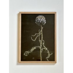 Artiskok, A3, Ane Whlk