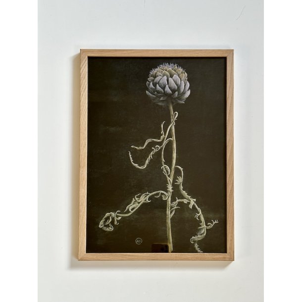 Artiskok, A3, Ane Whlk