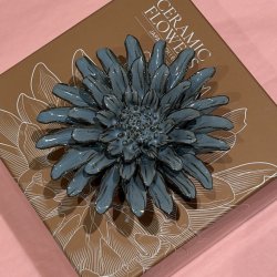 Gerbera Daisy