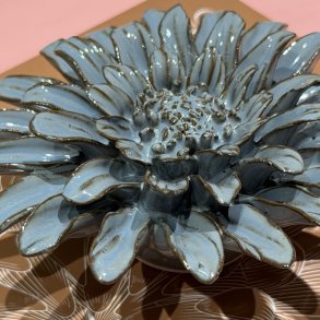 Gerbera Daisy