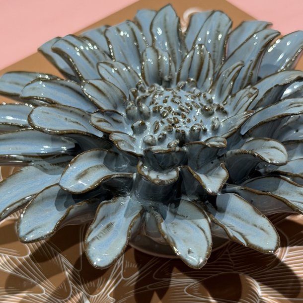 Gerbera Daisy
