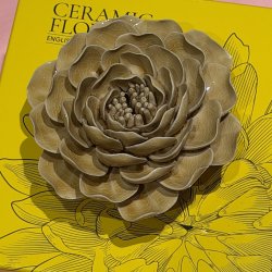 P�on Charm