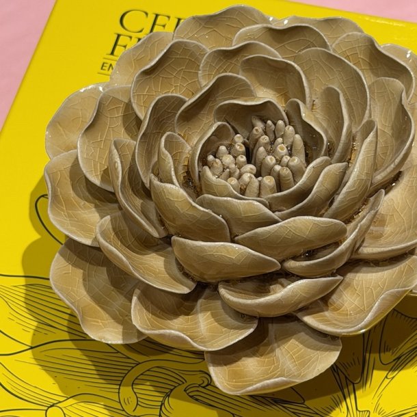 P�on Charm