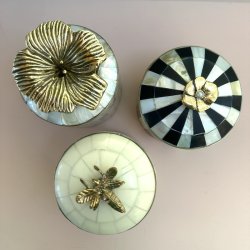 Cirkus box, Queen bee XL