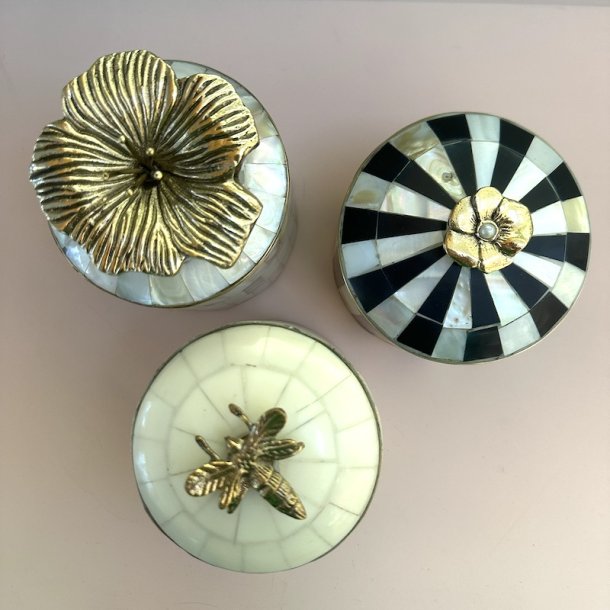 Cirkus box, Queen bee XL