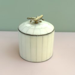 Cirkus box, Queen bee XL