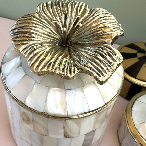 Cirkus box, Hailey Hibiscus XL