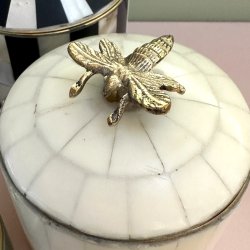 Cirkus box, Queen bee XL