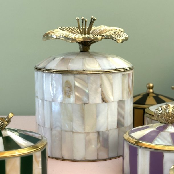 Cirkus box, Hailey Hibiscus XL