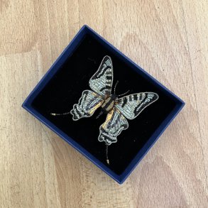 Swallowtail sommerfugl broche