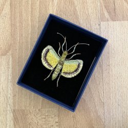 Gul paraply insekt broche