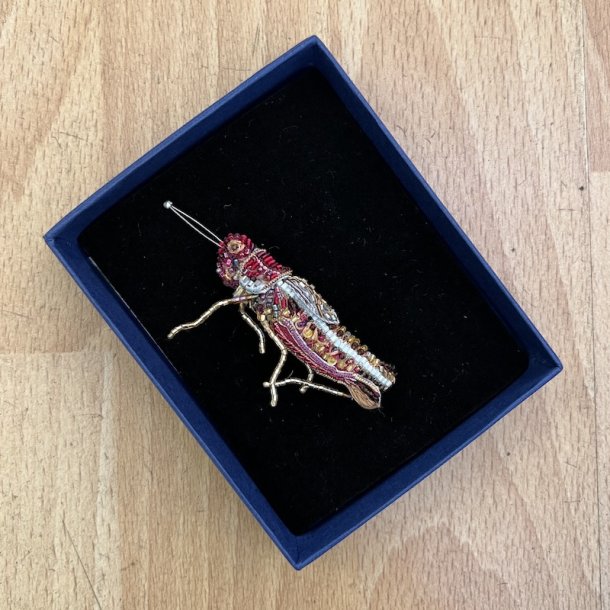 Grshoppe broche