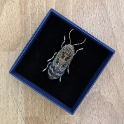 Bille Florentinus broche