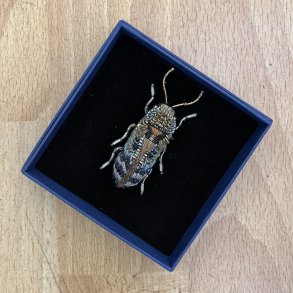 Bille Florentinus broche