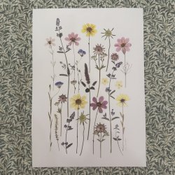 A3, Nr 11 (Lyse tider)