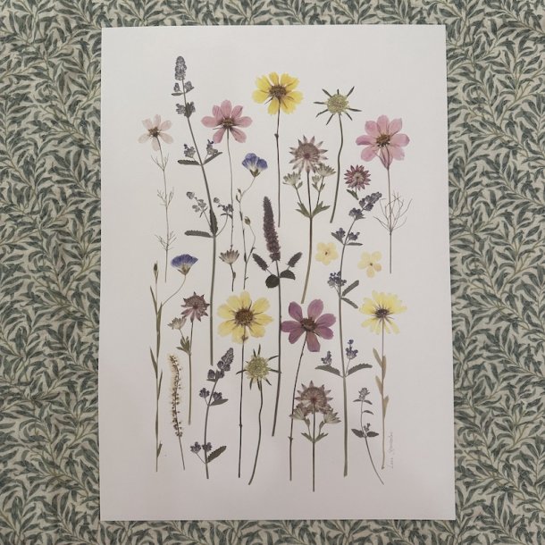 A3, Nr 11 (Lyse tider)