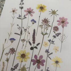 A3, Nr 11 (Lyse tider)