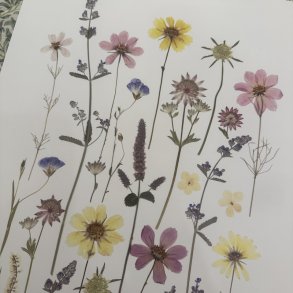 A3, Nr 11 (Lyse tider)