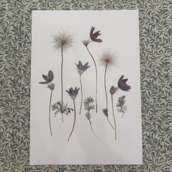 A3, Nr 14 (Kobjlder)