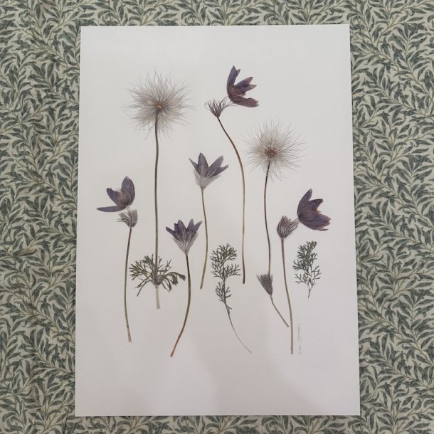 A3, Nr 14 (Kobjlder)