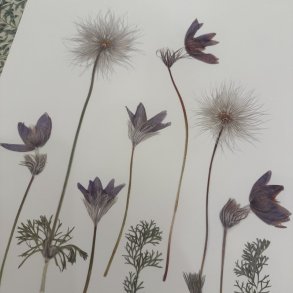 A3, Nr 14 (Kobjlder)