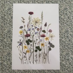 A3, Nr 16 (Grftekant)