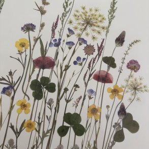 A3, Nr 16 (Grftekant)