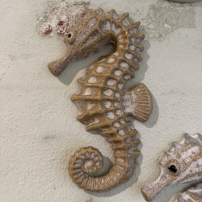 Seahorse