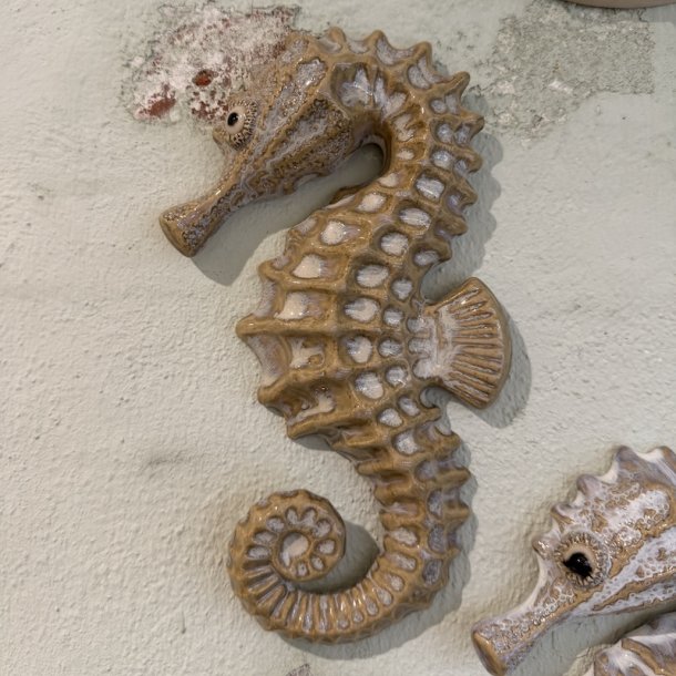 Seahorse