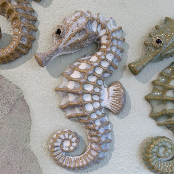 Seahorse