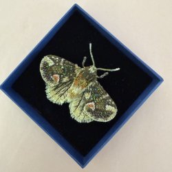 Trovelore Peach blossom Moth broche