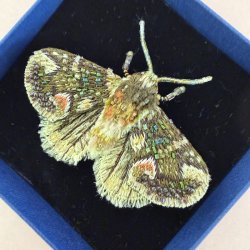 Trovelore Peach blossom Moth broche
