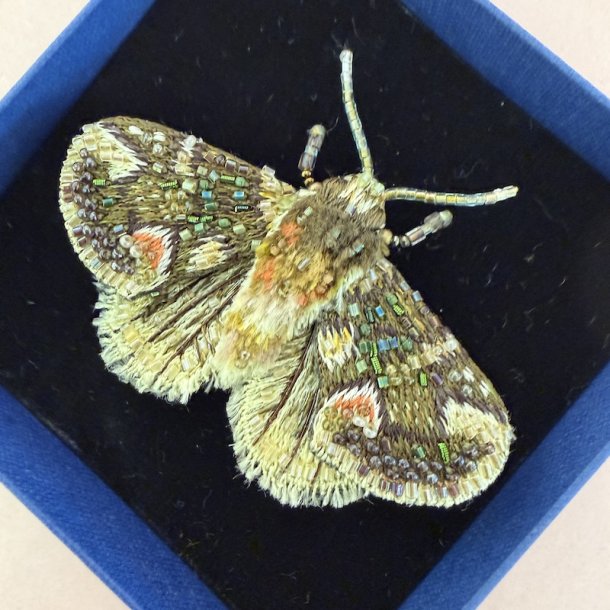 Trovelore Peach blossom Moth broche
