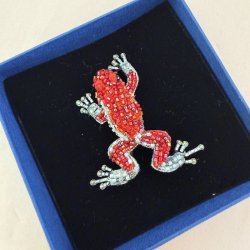 Trovelore Strawberry poison frog broche
