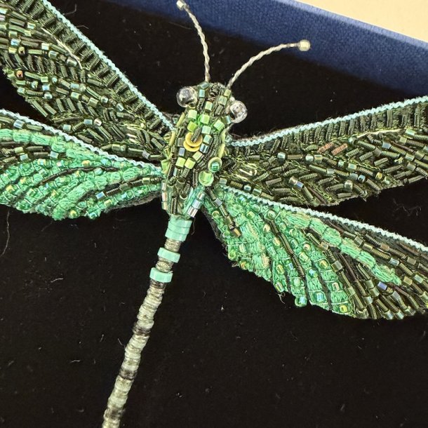 Trovelore Dragonfly Poundhawk broche