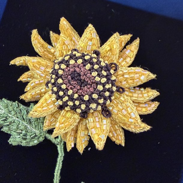 Sunflower, single