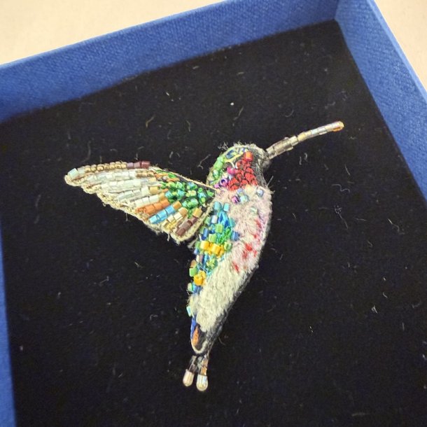 Trovelore Lucifer hummingbird