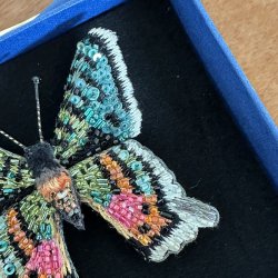 Madagascar sommerfugl broche