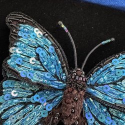 Blue Morpho broche