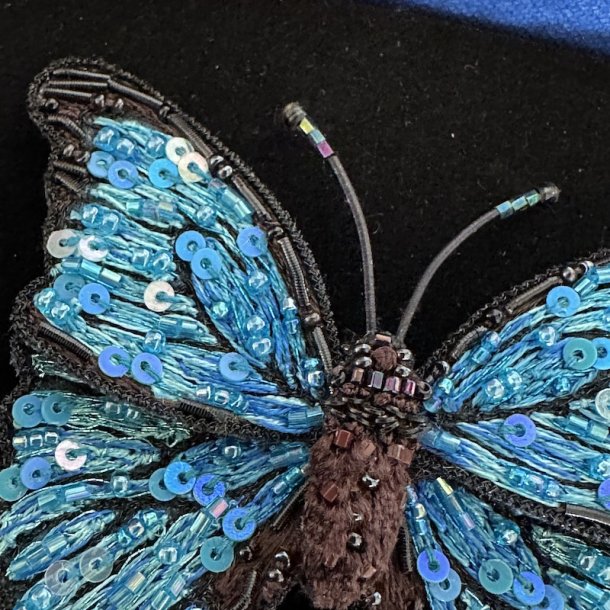 Blue Morpho broche