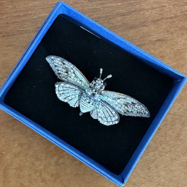 Ghost Cicada broche