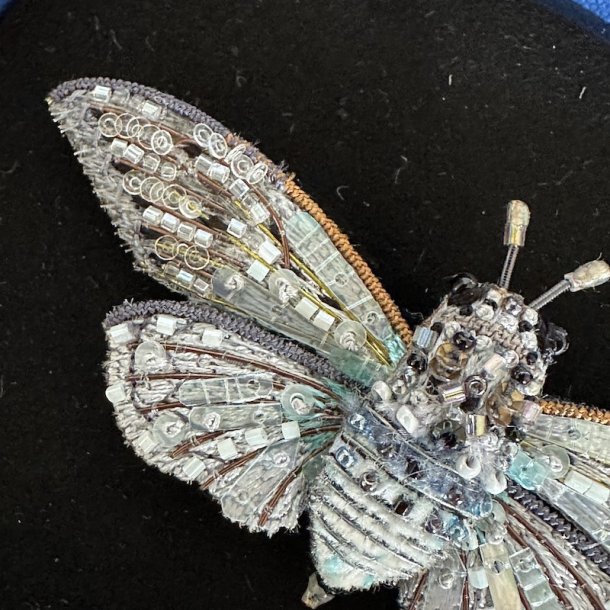 Ghost Cicada broche