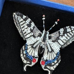 Old world swallowtail sommerfugl broche