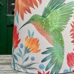 Nr 450 - Nye kolibrier