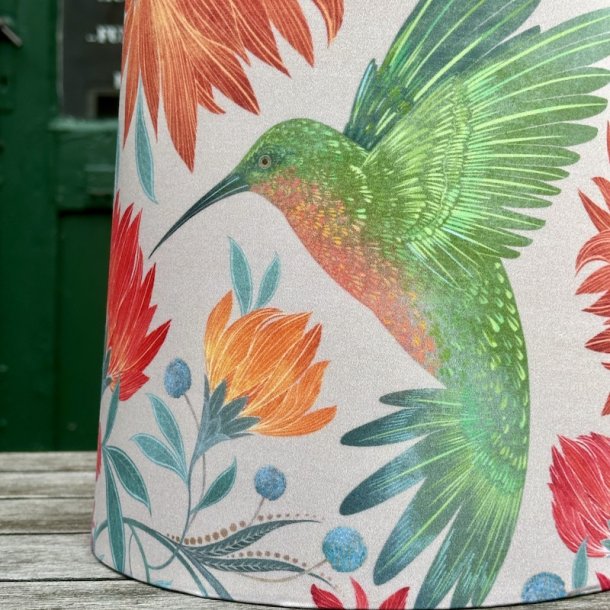 Nr 450 - Nye kolibrier