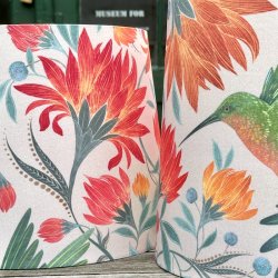 Nr 450 - Nye kolibrier