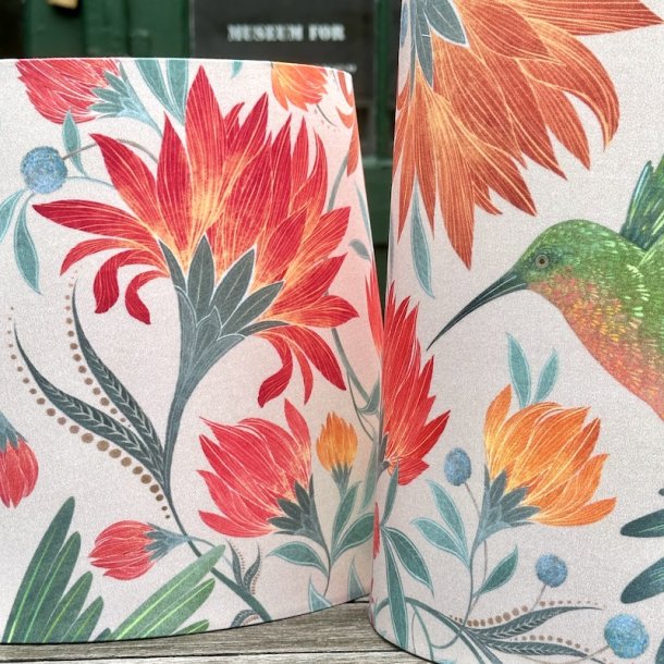 Nr 450 - Nye kolibrier